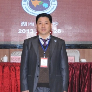 湖南省川渝商会会长吴维敏